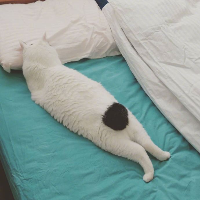 男生邀请奶奶走毕业红毯:她从小照顾我,最辛苦功劳最大