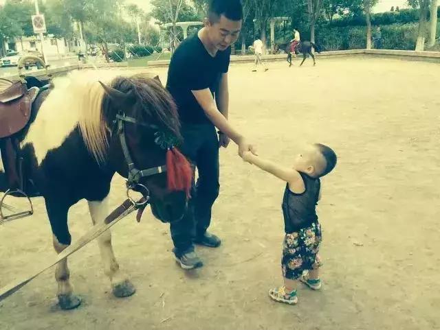 第一次当爸爸你比谁都优秀,我也是第一次当爸爸中文配音