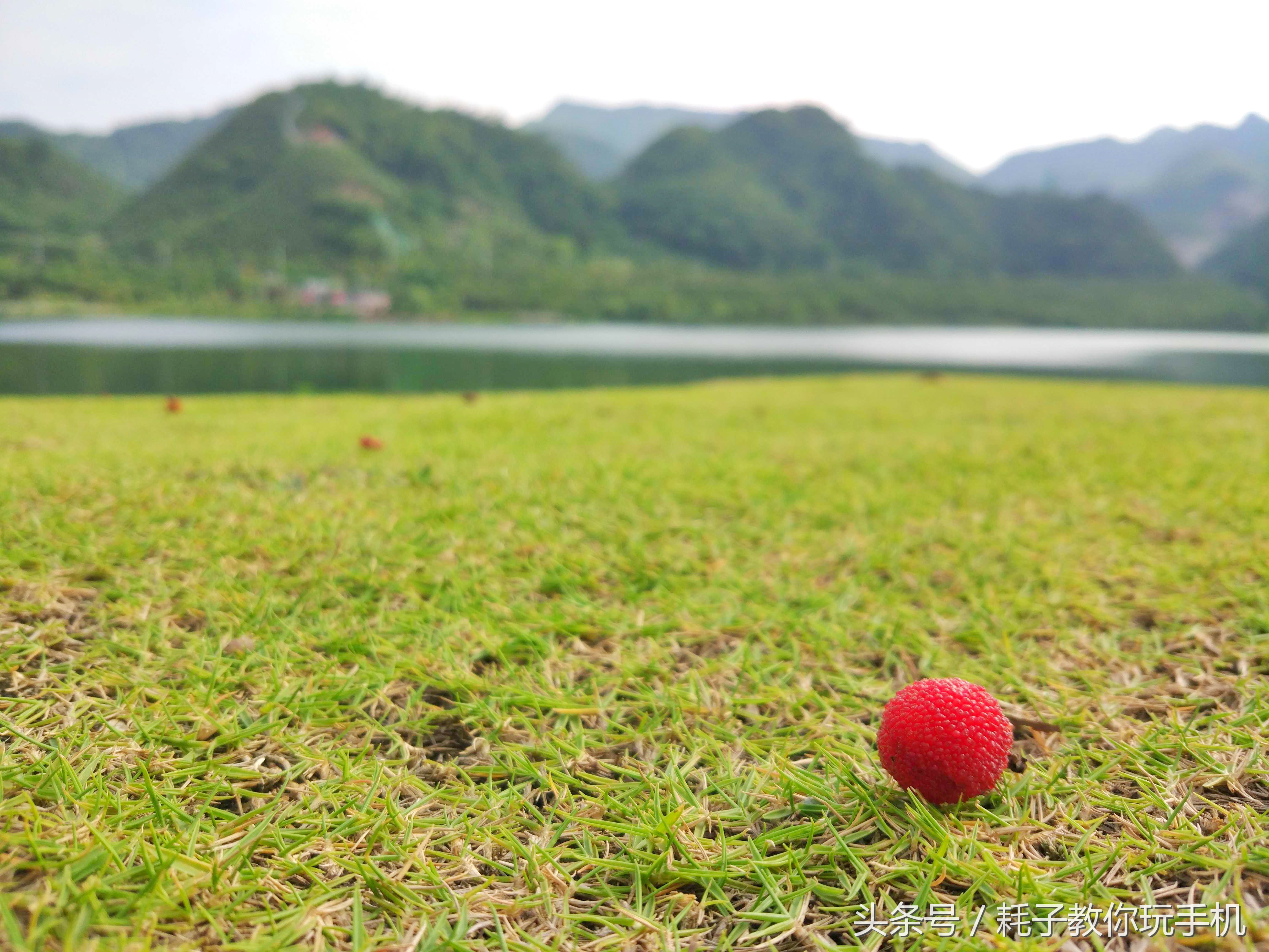 小米10升级miui14后的拍照咋样,小米5拍照为什么强