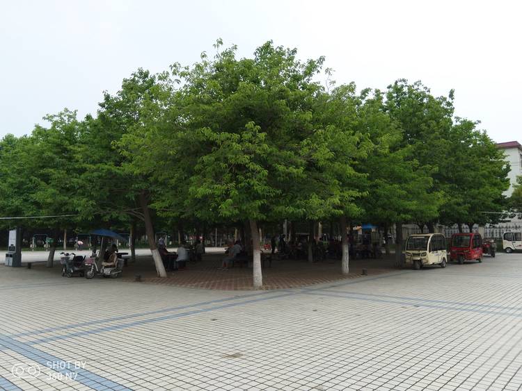 带拍照功能的游戏,手机除游戏拍照还有什么刚需性能