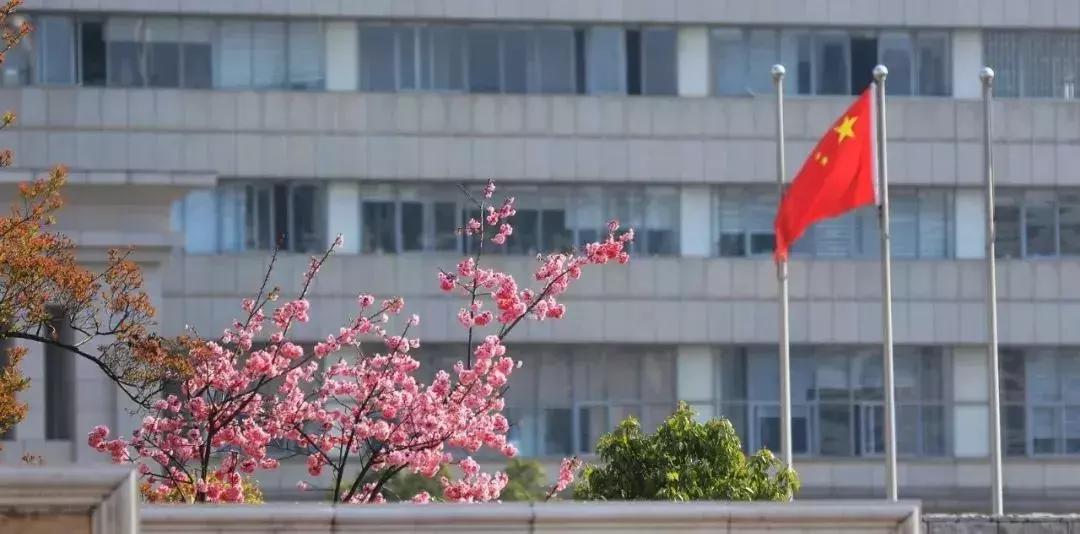 云南最好的大学是哪个大学,云南最好农校