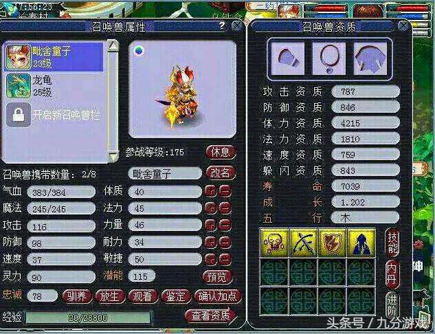 梦幻西游合宠新套路攻略,梦幻西游合宠的攻略大全