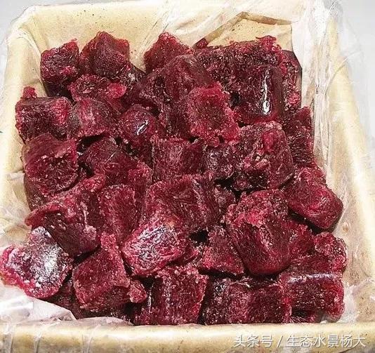 冷冻红虫靠谱吗,冷冻红虫的正确使用方法