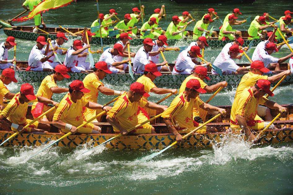 王药师带你认草药-艾叶、菖蒲