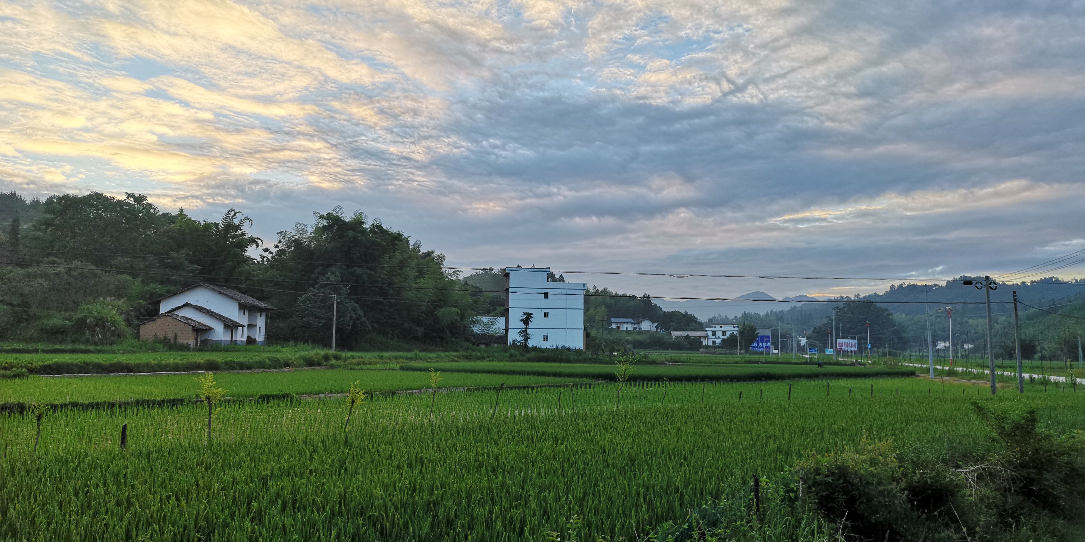 端午农家,民宿端午节美食