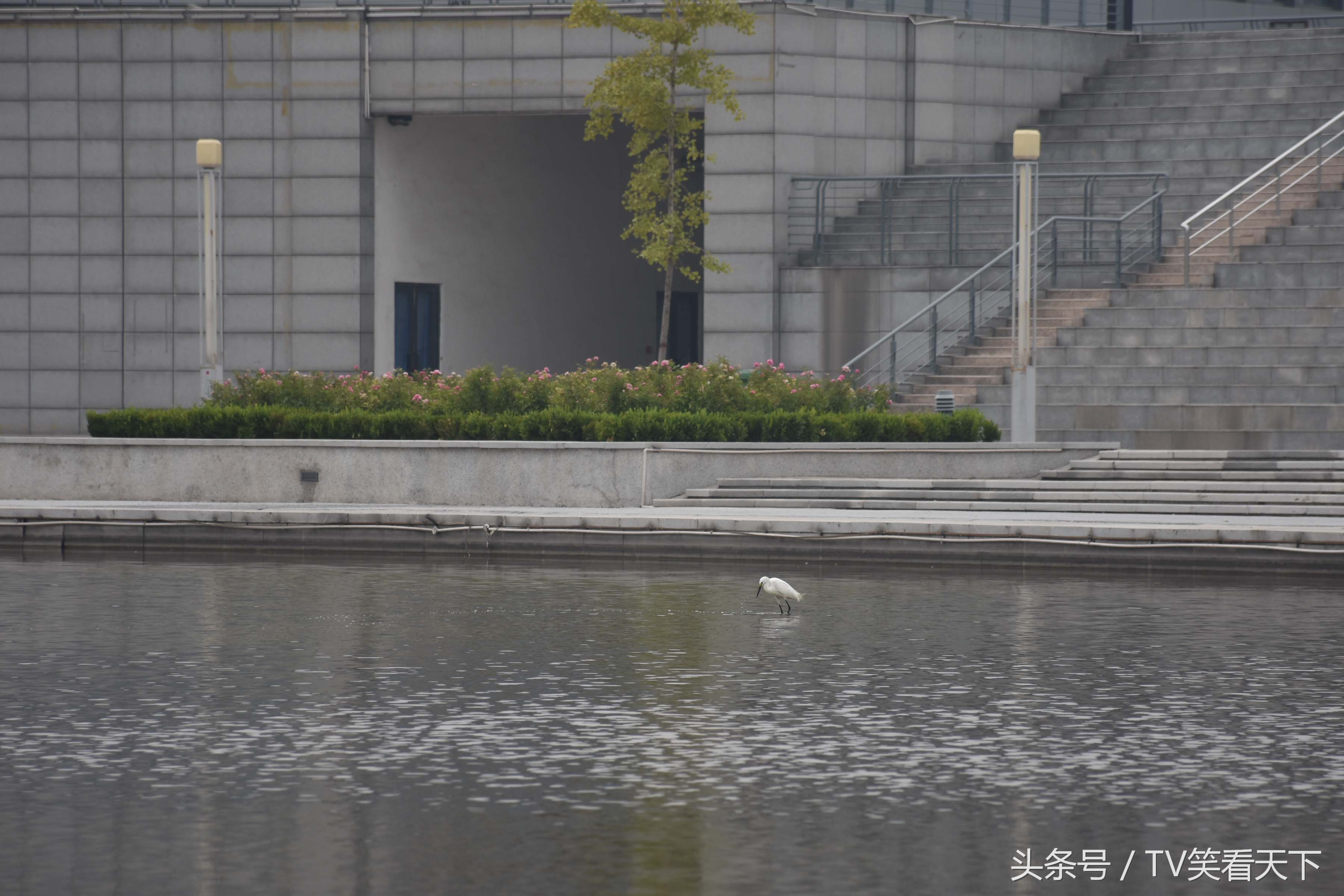 焦作“新体育馆”，有什么好玩的？睁大眼睛！跟我来！