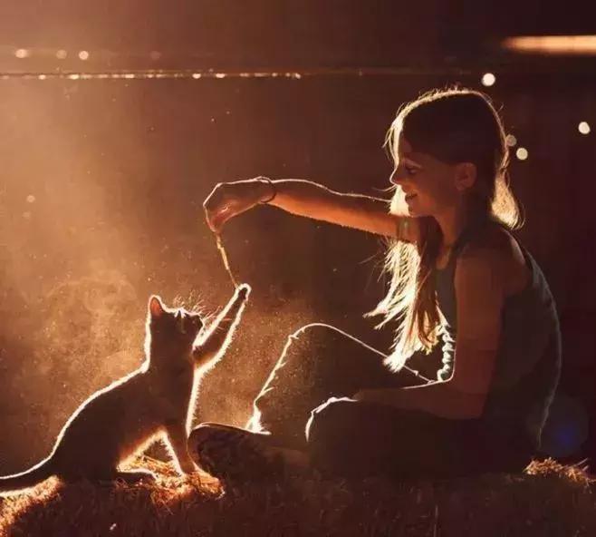 活得很怂的人都是对自己太好了,认怂活得久