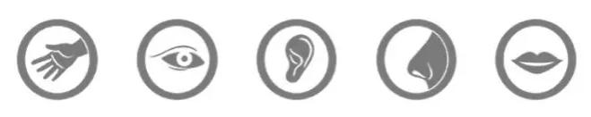 德国队大热？想在这样的卧室，观赏撩人的“理性”球风！