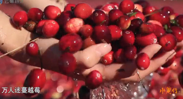 中国顶级美食纪录片,中国顶尖美食纪录片