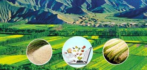 农村电商让农民增收,电商助推村民增收