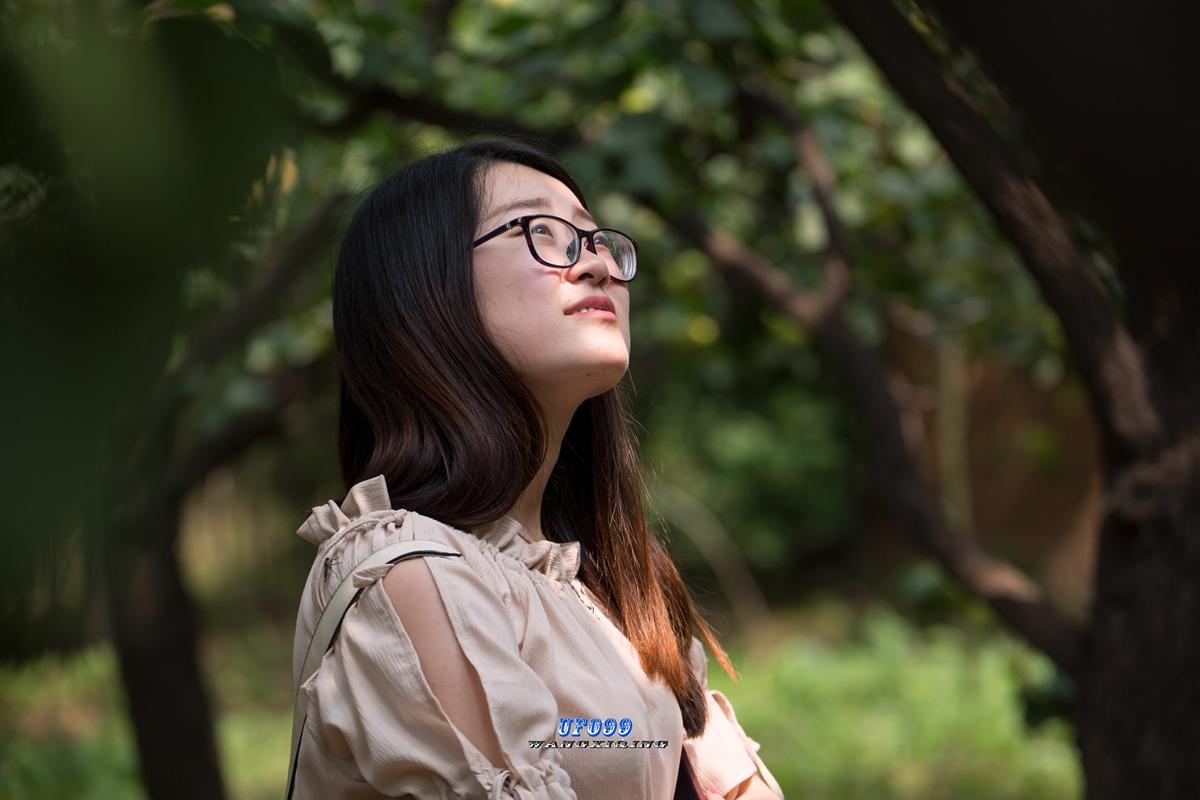 好厉害的大巨鹿一串红杏就过成了大年