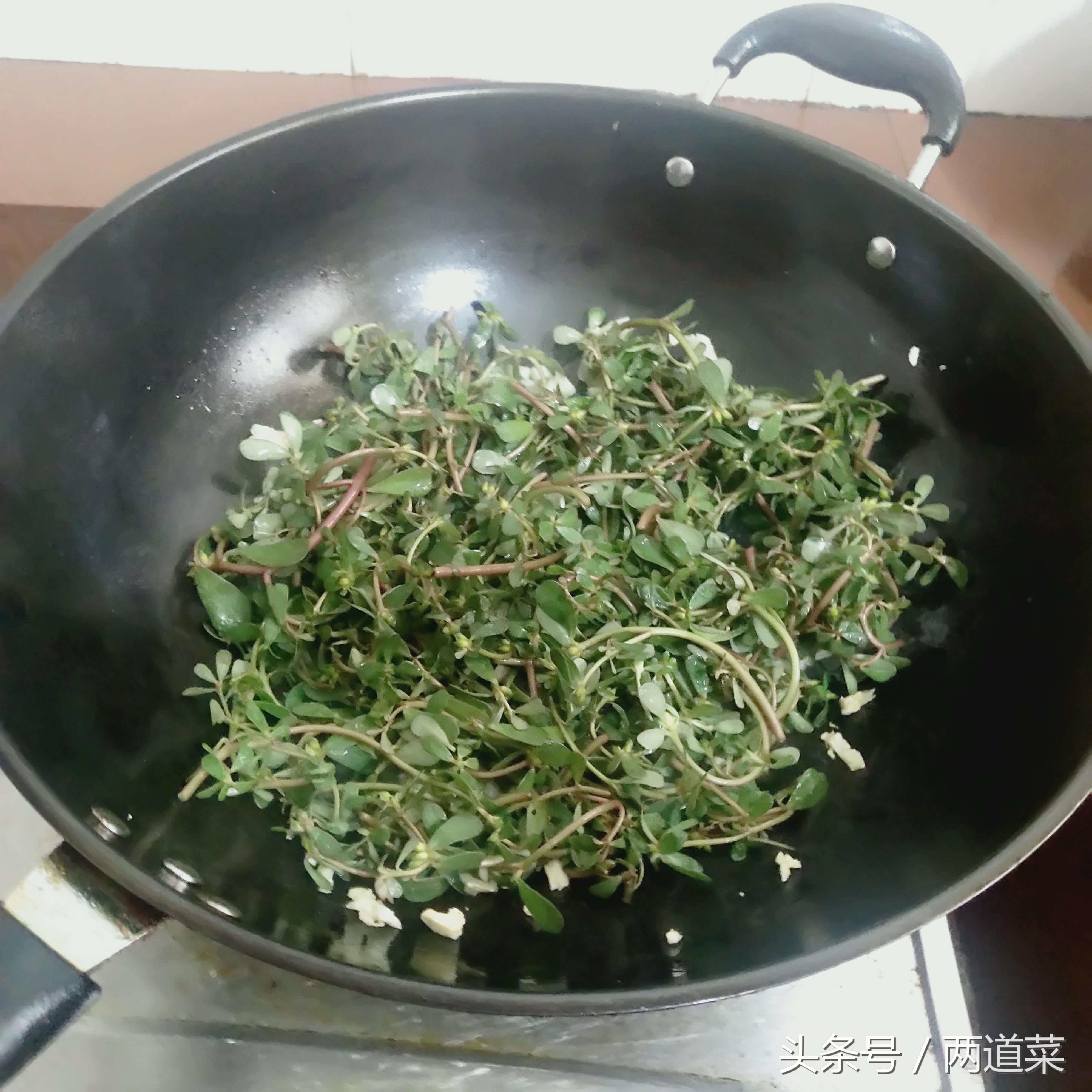 干马齿菜的家常做法大全集,马齿菜怎么做好吃又简单