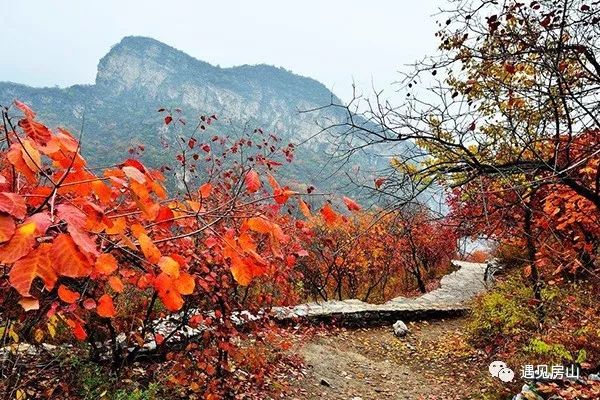 房山猫儿山登山步道,京西最美十大登山步道