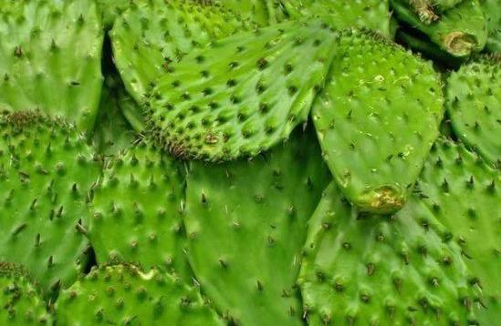 你绝对没看过这么神奇的操作,你绝对没见过的奇怪现象