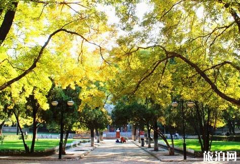泰安济南附近旅游景点推荐一日游,济南十大旅游景点