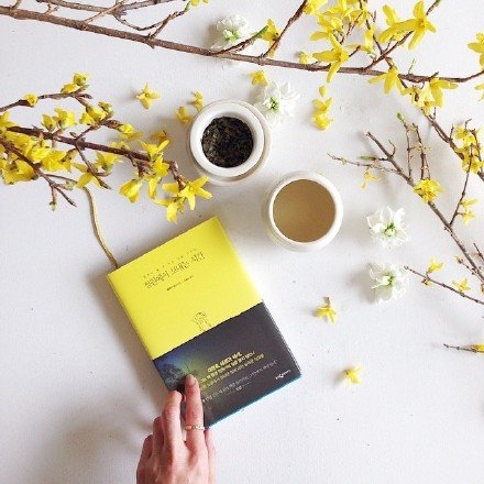 一句有关诚信的名言名句,关于诚信的名言警句短句有哪些