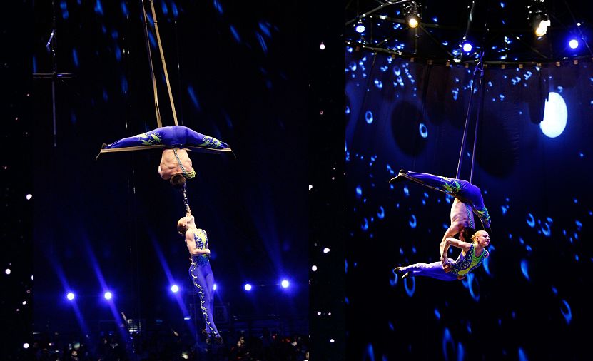 “仲夏欢乐汇”清爽一夏，俄罗斯传奇大马戏震撼来袭！