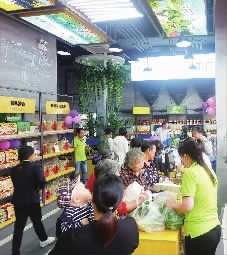 共同探讨乡村振兴发展思路,浔龙河乡村振兴工作