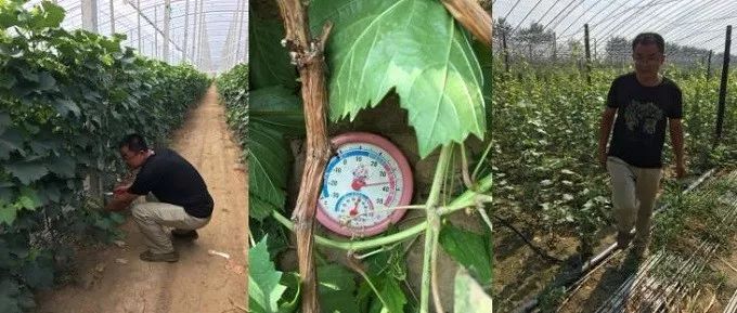 总有一款适合你春耕备耕进行中,现代农业案例分享