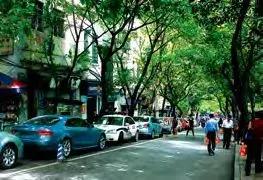 重庆网红景点旅游攻略一日游路线,重庆主城区一日游必去十大网红地