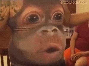 男朋友又胖又矮又丑怎么办,男朋友长得丑是一种怎样的体验