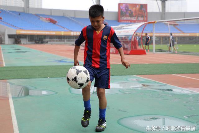 足球青训观察完整视频,青训观察颜色