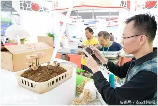 从垃圾里捡的东西变废为宝,从废物到宝物