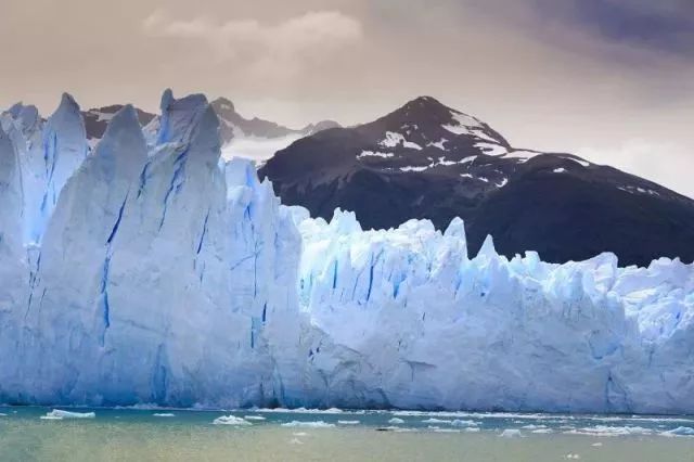 世界杯决赛潘帕斯雄鹰高卢,格子军团vs潘帕斯雄鹰复仇之刃