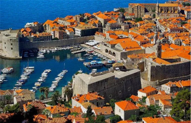 世界杯决赛潘帕斯雄鹰高卢,世界杯潘帕斯进球