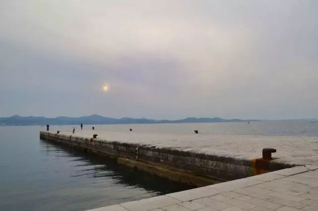 世界杯决赛潘帕斯雄鹰高卢,格子军团vs潘帕斯雄鹰复仇之刃