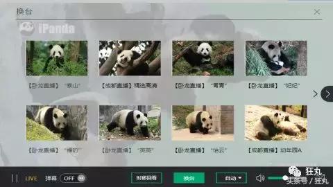 看着星空撸熊猫，这两个直播间24H都能给你惊喜