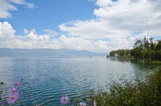 「税事税递」不能出入境、禁止坐飞机？税收“黑名单”请留意