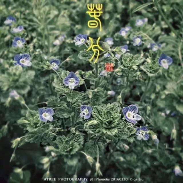 夏至在最短的夜陪你做最长的梦,夏至是白天对你思念最长的一天