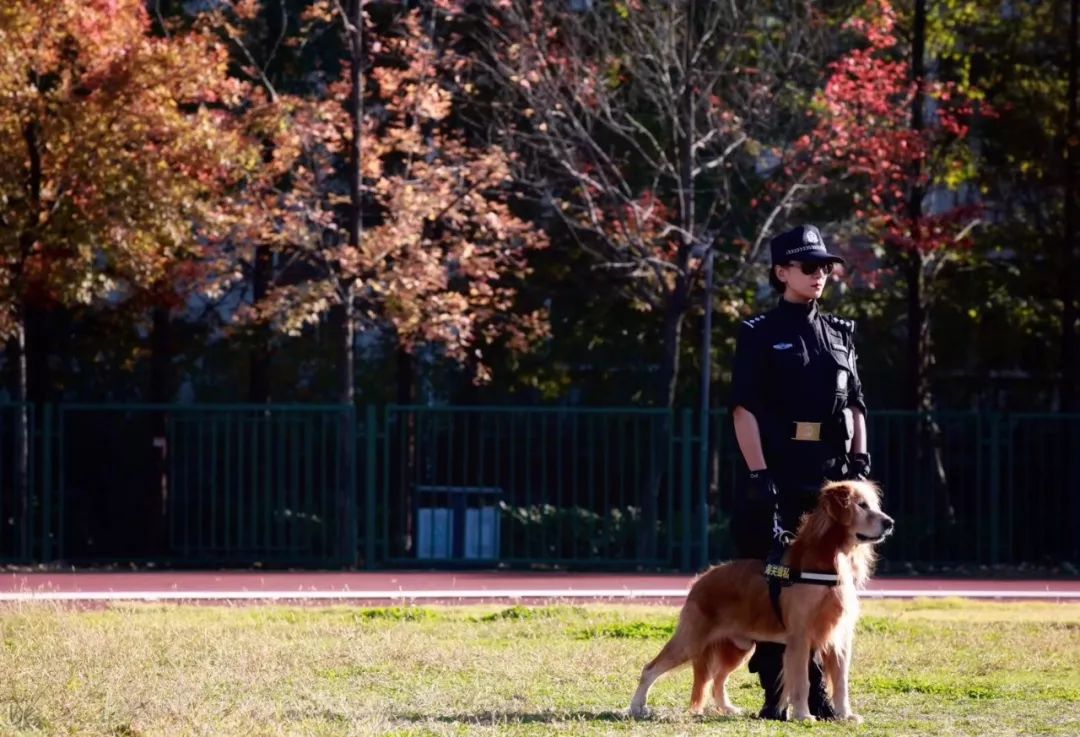 拱北海关缉毒犬,缉毒犬拱北海关