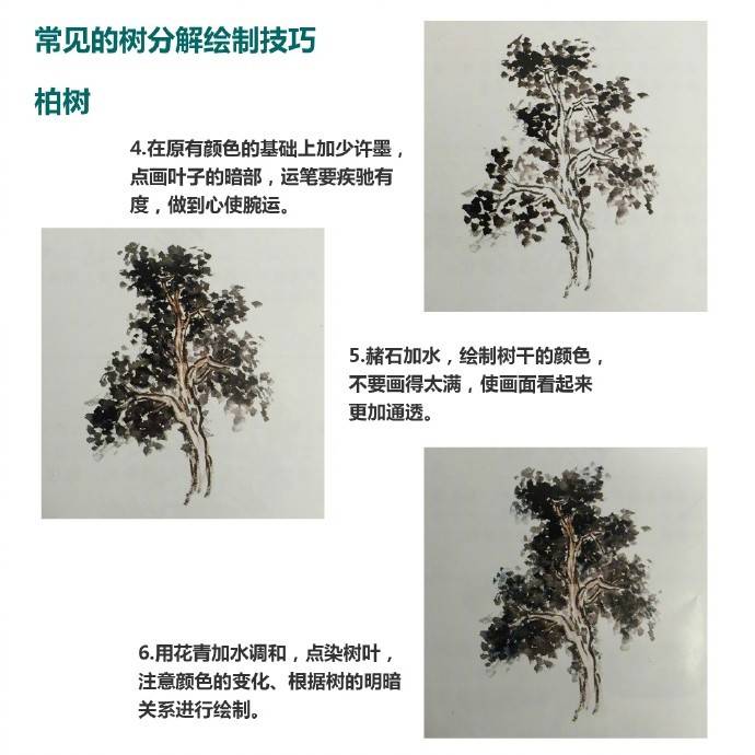 零基础学国画树干的画法视频,零基础画树教程