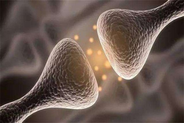 戒毒期间全身无力怎么办,戒毒时为什么几天都不困