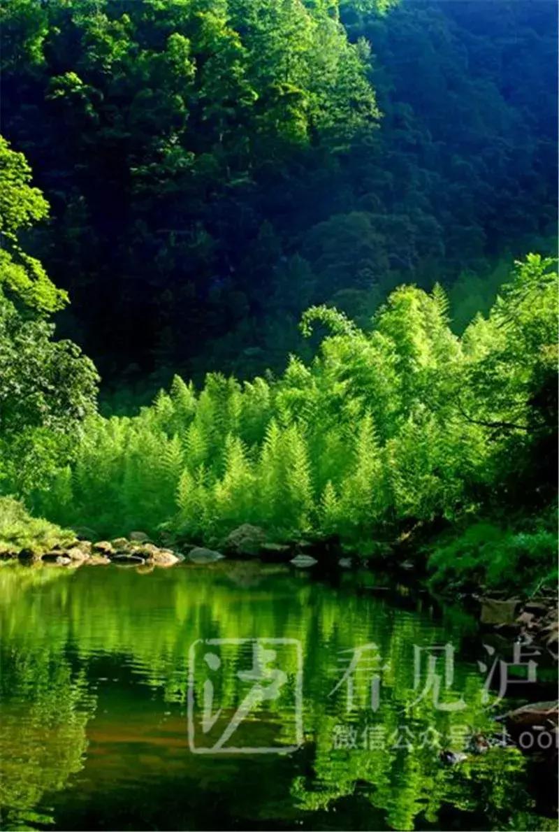 泸州最美乡镇,泸州是国家优秀的旅游城市吗