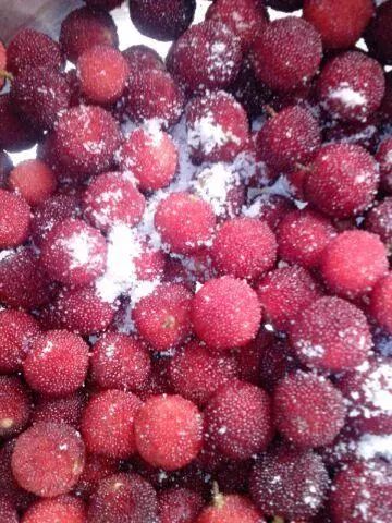 杨梅别只用清水洗教你正确方法,杨梅怎么吃是正确的方法