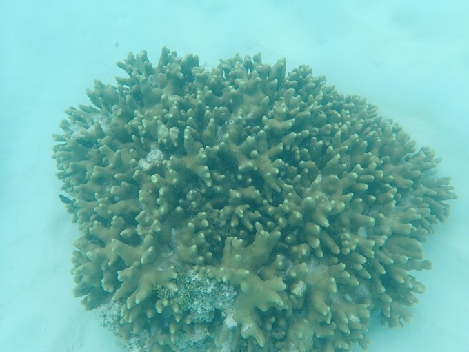 马尔代夫robinsonclub,马尔代夫robinson