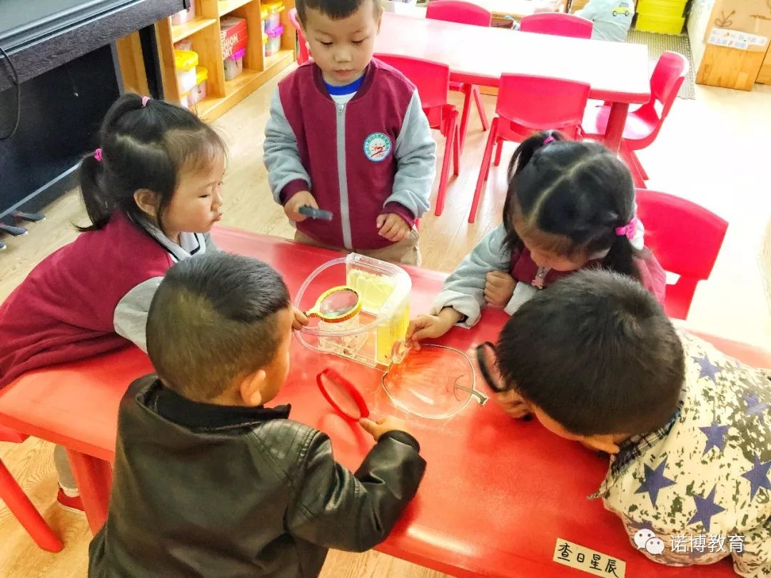 诺博教育山东有限公司,诺博幼儿园办园理念