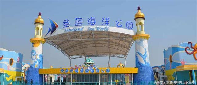 南戴河*哥涛**农家院（成杰宾馆）云烟天外黄金缕，渔火滩头绿酒家！