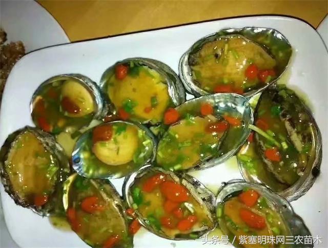 南戴河*哥涛**农家院（成杰宾馆）云烟天外黄金缕，渔火滩头绿酒家！