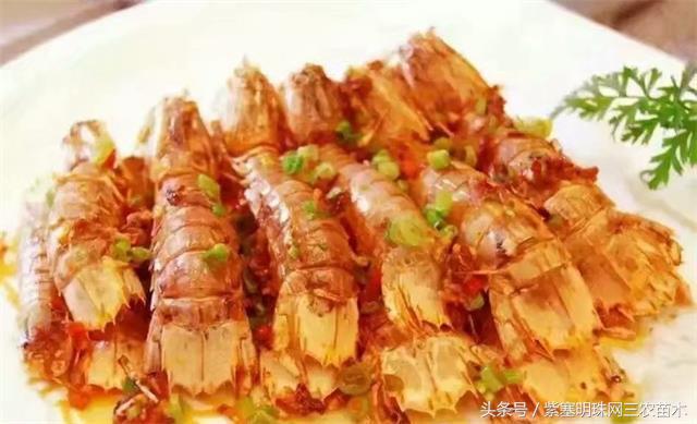 南戴河*哥涛**农家院（成杰宾馆）云烟天外黄金缕，渔火滩头绿酒家！