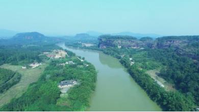 桂牛水牛乳业,桂牛水牛牧场纯牛奶