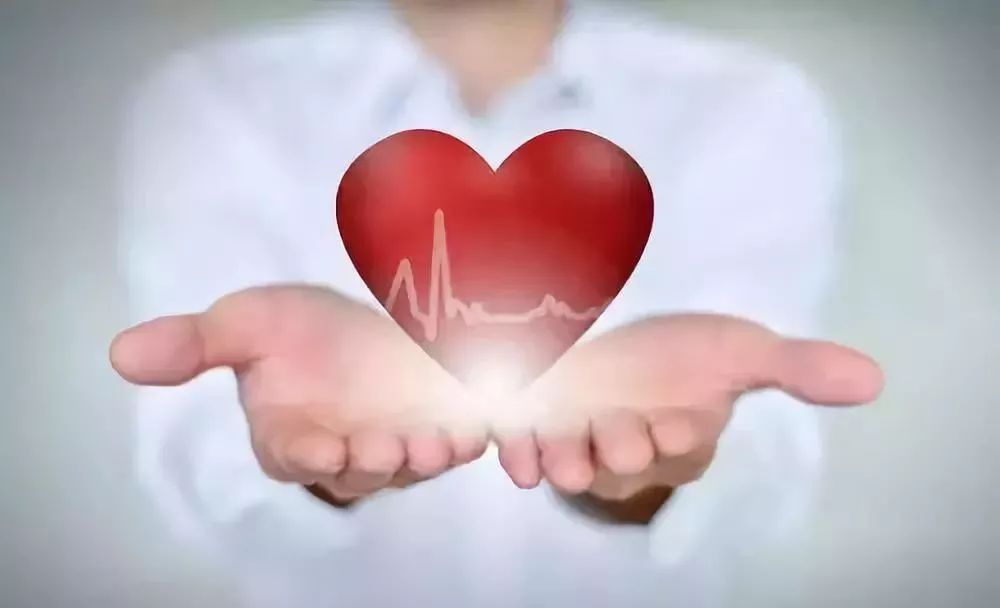 AI芯片独角兽寒武纪完成数亿美元B轮融资｜小桔妹播报