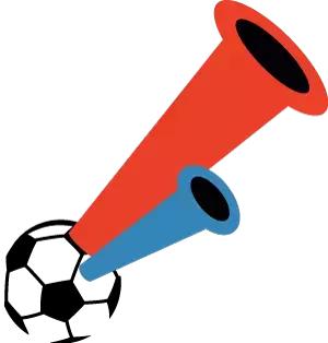 冰岛队的守门员,冰岛守门员