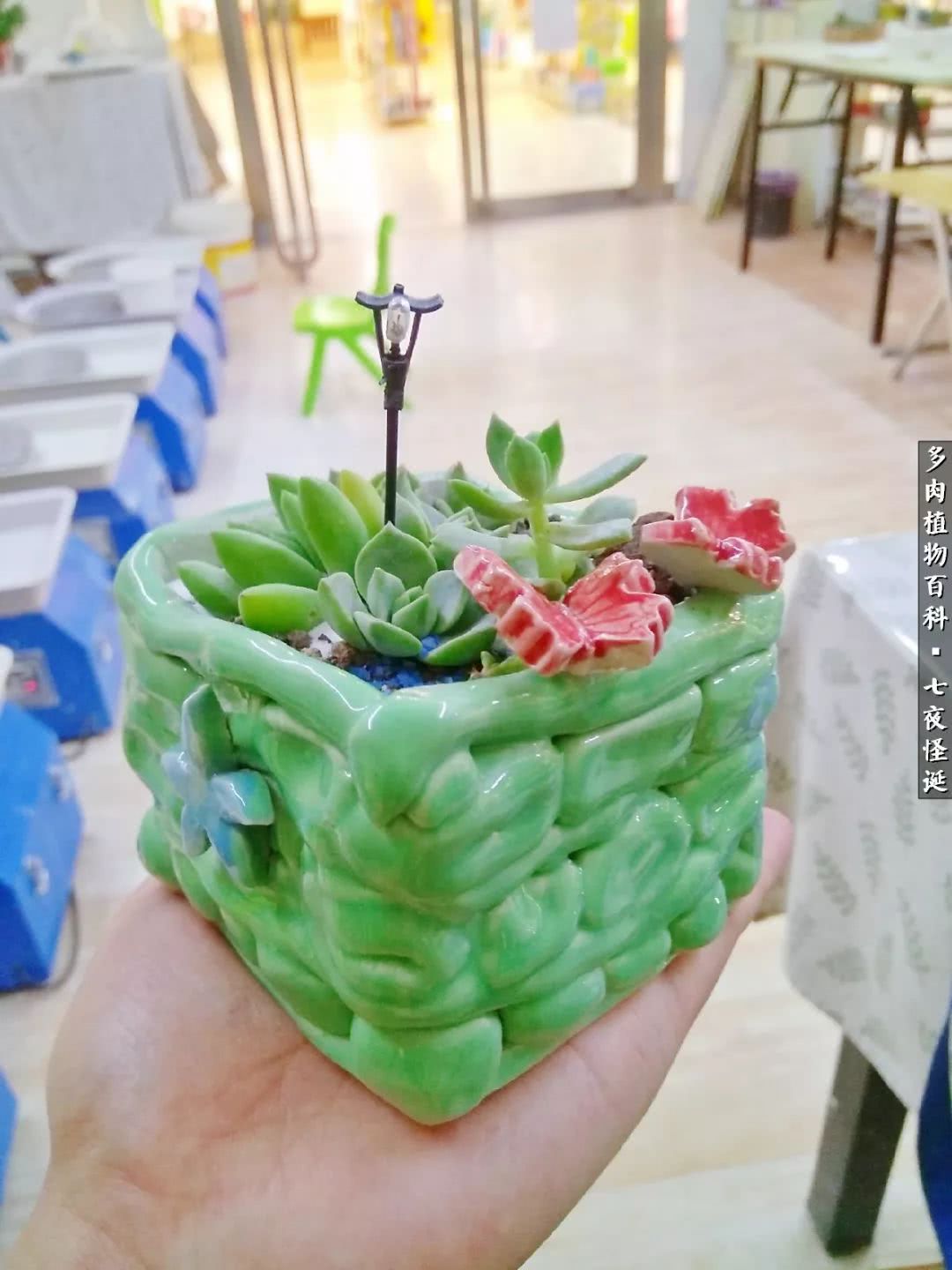 怎样做多肉盆手工,在家怎么制作多肉盆