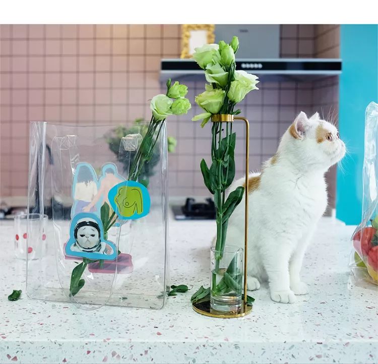 你还在花钱买苹果吗,你还在花钱买项目吗