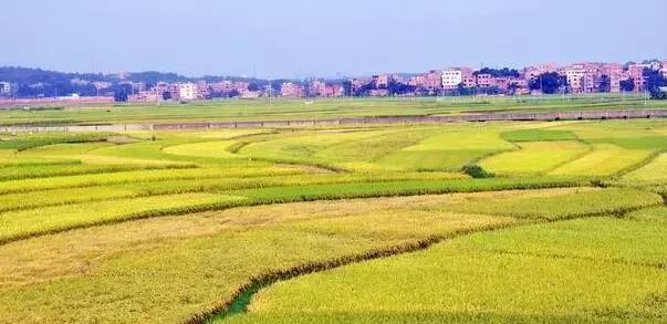 我的土地被征用了该怎么赔偿,我的土地被收回无地农民怎么办