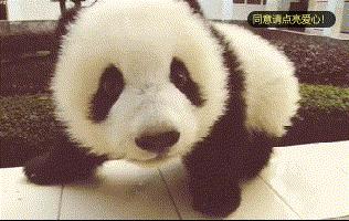 广西荔枝现在情况,广西荔枝最新情况